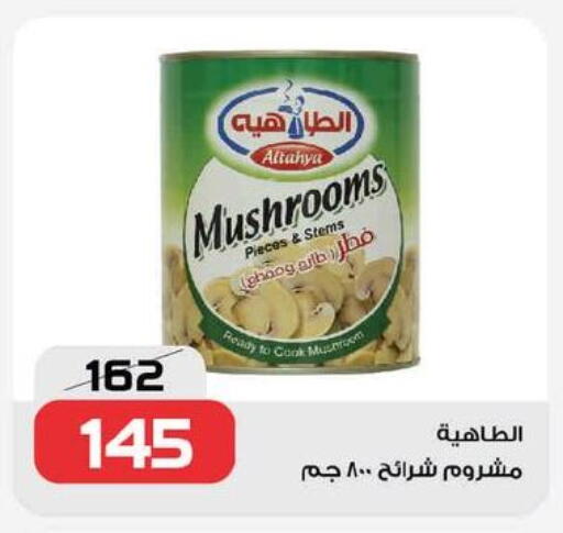 Mushroom available at  Zahran Market in Egypt - Cairo