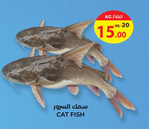 available at Hyper Salla in KSA, Saudi Arabia, Saudi - Hail