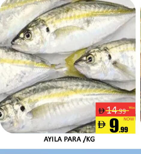 available at المدينة in الإمارات العربية المتحدة , الامارات - دبي