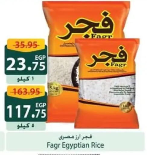 available at سبينس in Egypt - القاهرة