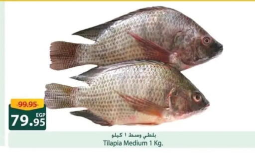 available at Spinneys  in Egypt - Cairo