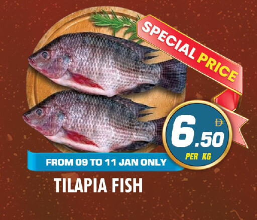 available at نايت تو نايت in الإمارات العربية المتحدة , الامارات - دبي