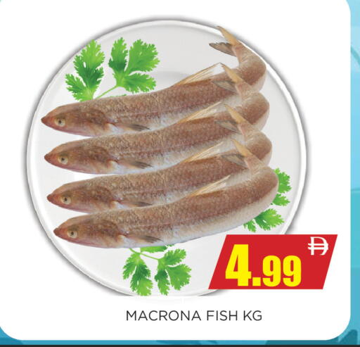 available at Ainas Al madina hypermarket in UAE - Sharjah / Ajman