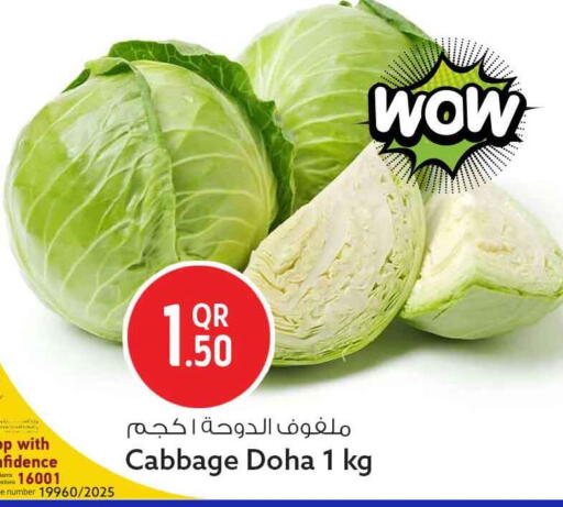 Cabbage from Qatar available at سفاري هايبر ماركت in قطر - الشحانية