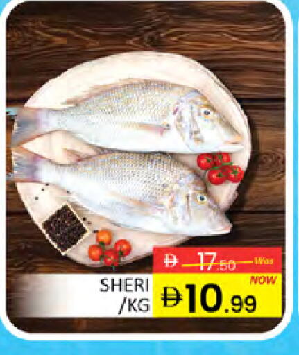 available at المدينة in الإمارات العربية المتحدة , الامارات - دبي