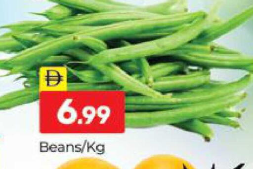 available at المدينة in الإمارات العربية المتحدة , الامارات - دبي