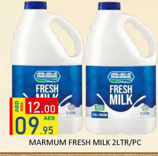 available at رويال جلف هايبرماركت in الإمارات العربية المتحدة , الامارات - أبو ظبي