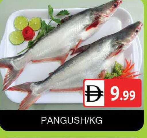 available at AL MADINA (Dubai) in UAE - Dubai