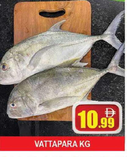 available at AL MADINA (Dubai) in UAE - Dubai