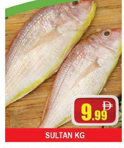 available at AL MADINA (Dubai) in UAE - Dubai