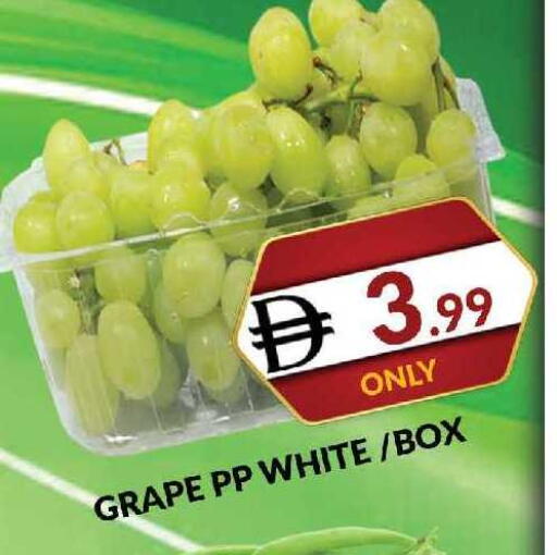 available at AL MADINA (Dubai) in UAE - Dubai