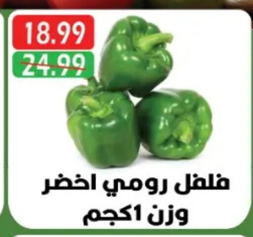 available at Euromarche in Egypt - Cairo