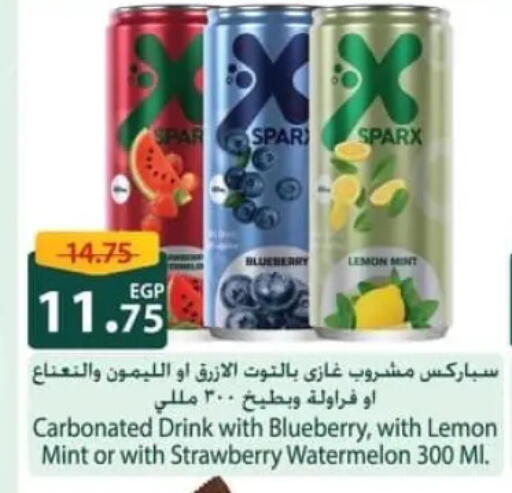 Blueberry BlueBerry Lemon Strawberry Watermelon Mint available at سبينس in Egypt - القاهرة