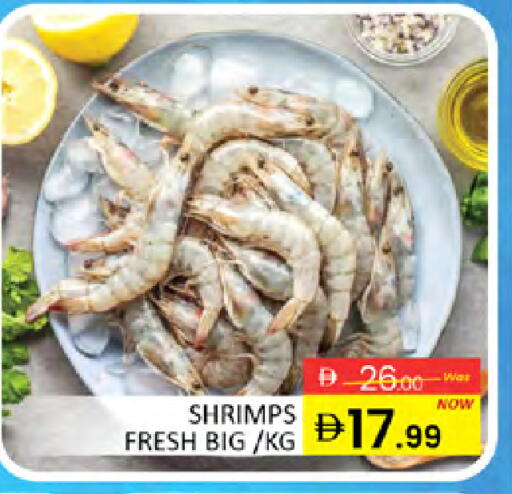 available at المدينة in الإمارات العربية المتحدة , الامارات - دبي