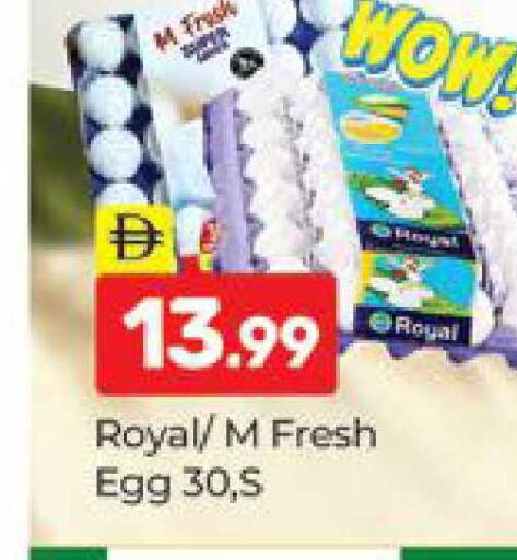 available at المدينة in الإمارات العربية المتحدة , الامارات - دبي