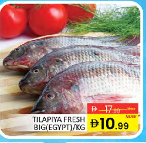 available at المدينة in الإمارات العربية المتحدة , الامارات - دبي