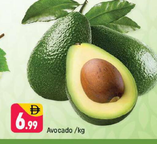 Avocado available at شكلان ماركت in الإمارات العربية المتحدة , الامارات - دبي