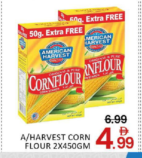 Mango available at مانجو هايبرماركت in الإمارات العربية المتحدة , الامارات - دبي