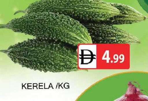 available at المدينة in الإمارات العربية المتحدة , الامارات - دبي