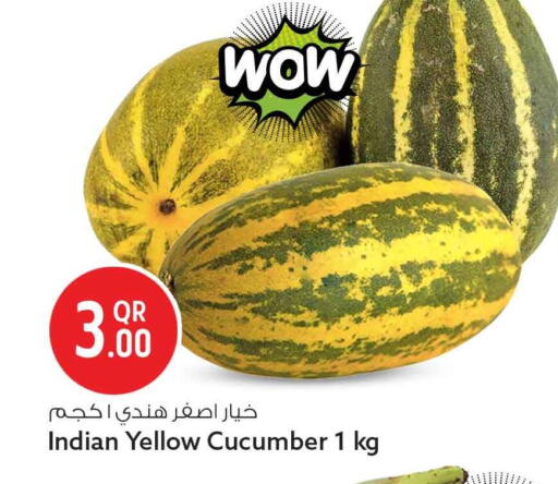 Cucumber from India available at سفاري هايبر ماركت in قطر - الشحانية