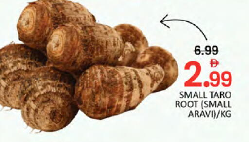 Taro available at المدينة in الإمارات العربية المتحدة , الامارات - دبي