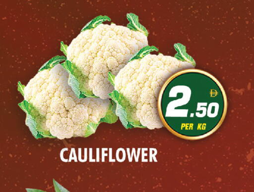 Cauliflower available at نايت تو نايت in الإمارات العربية المتحدة , الامارات - دبي