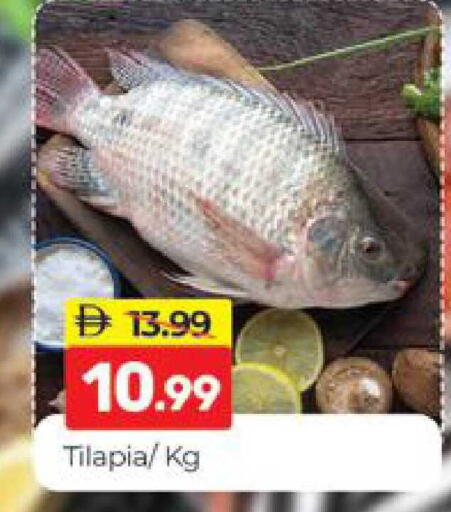 available at المدينة in الإمارات العربية المتحدة , الامارات - دبي