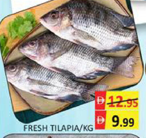 Mango available at مانجو هايبرماركت in الإمارات العربية المتحدة , الامارات - دبي