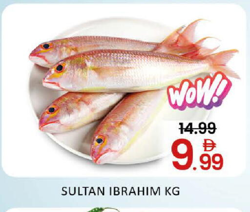 Mango available at مانجو هايبرماركت in الإمارات العربية المتحدة , الامارات - دبي