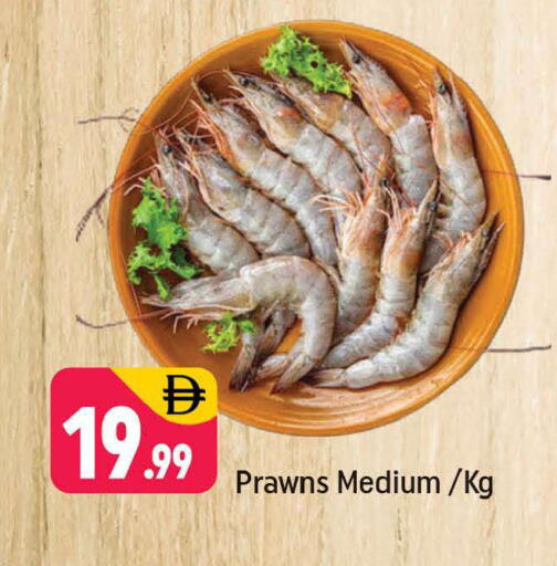 available at شكلان ماركت in الإمارات العربية المتحدة , الامارات - دبي