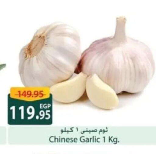 Garlic from China available at Spinneys  in Egypt - Cairo
