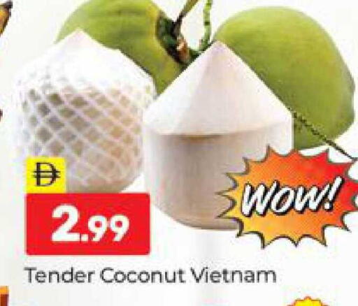 Coconut from Vietnam available at المدينة in الإمارات العربية المتحدة , الامارات - دبي