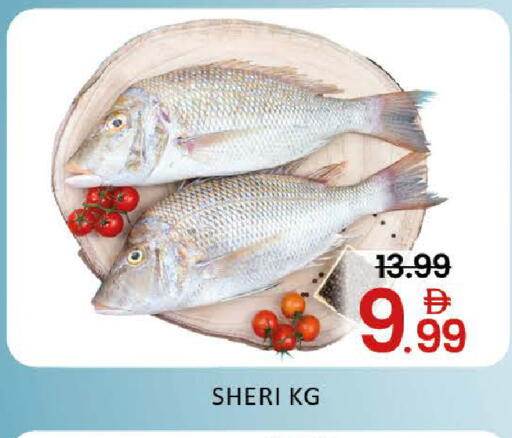 Mango available at مانجو هايبرماركت in الإمارات العربية المتحدة , الامارات - دبي