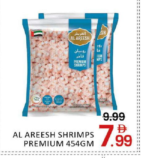 Mango available at مانجو هايبرماركت in الإمارات العربية المتحدة , الامارات - دبي