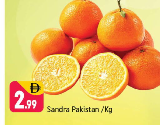 from Pakistan available at Shaklan  in UAE - Dubai