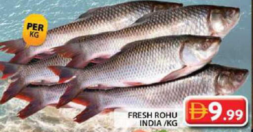 available at Grand Hyper Market in UAE - Dubai