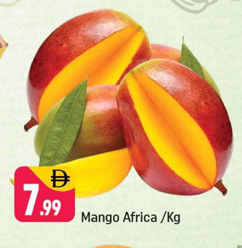 Mango available at شكلان ماركت in الإمارات العربية المتحدة , الامارات - دبي