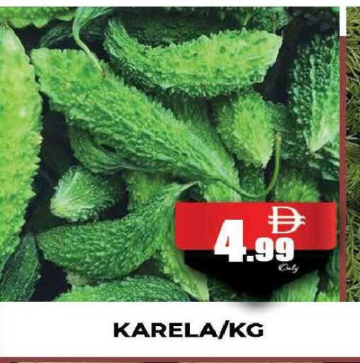 available at المدينة in الإمارات العربية المتحدة , الامارات - دبي