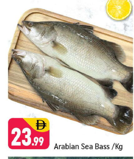 available at شكلان ماركت in الإمارات العربية المتحدة , الامارات - دبي