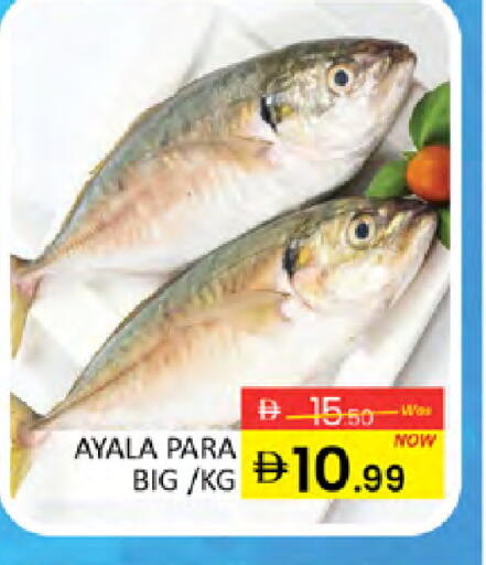 available at المدينة in الإمارات العربية المتحدة , الامارات - دبي