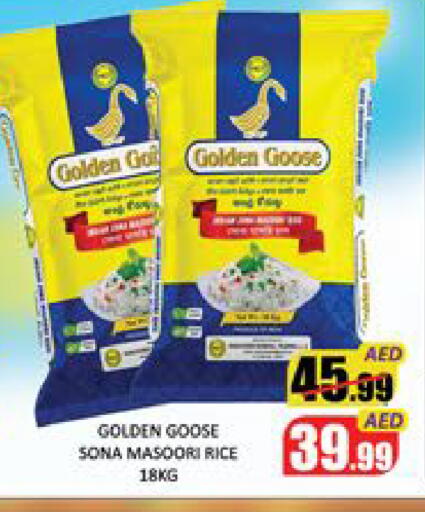 Mango available at مانجو هايبرماركت in الإمارات العربية المتحدة , الامارات - دبي