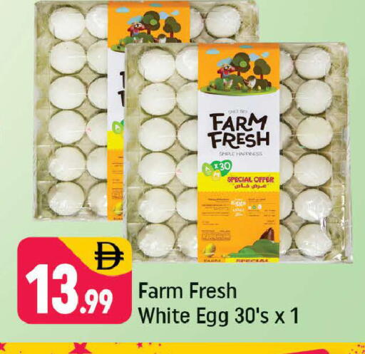 available at شكلان ماركت in الإمارات العربية المتحدة , الامارات - دبي