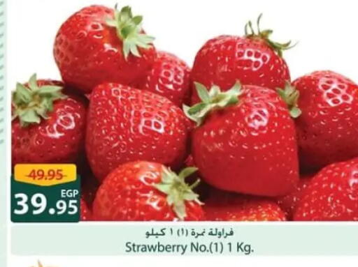Strawberry available at سبينس in Egypt - القاهرة