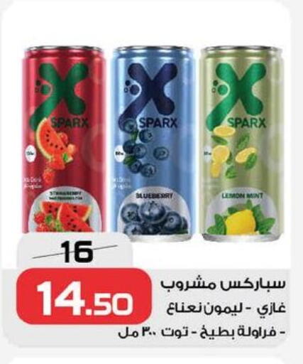 Blueberry BlueBerry Lemon Mint available at  Zahran Market in Egypt - Cairo