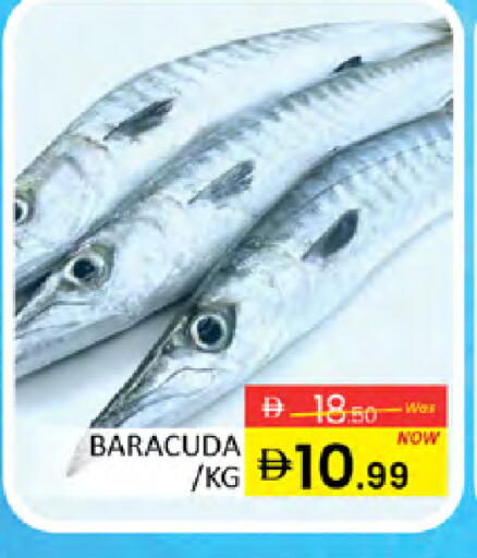 available at المدينة in الإمارات العربية المتحدة , الامارات - دبي