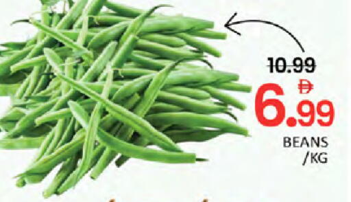 available at المدينة in الإمارات العربية المتحدة , الامارات - دبي