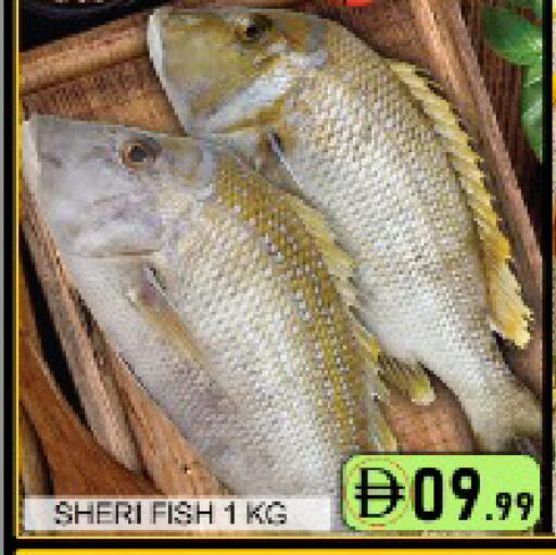 Mango available at مانجو هايبرماركت in الإمارات العربية المتحدة , الامارات - دبي