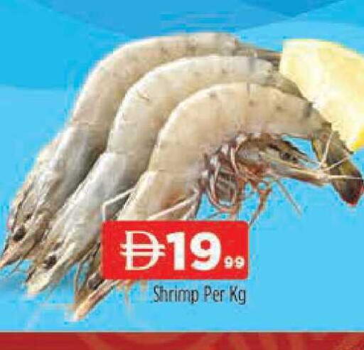 available at AL MADINA (Dubai) in UAE - Dubai