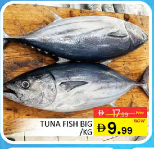 available at المدينة in الإمارات العربية المتحدة , الامارات - دبي