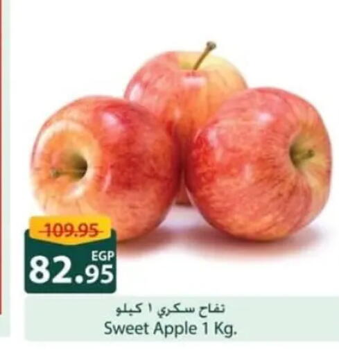 Apple available at سبينس in Egypt - القاهرة